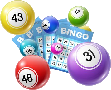 Bingo